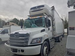 Salvage cars for sale from Copart Waldorf, MD: 2024 Hino Refrigerated box Truck