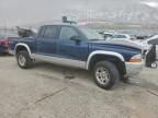 2003 Dodge Dakota Quad slt