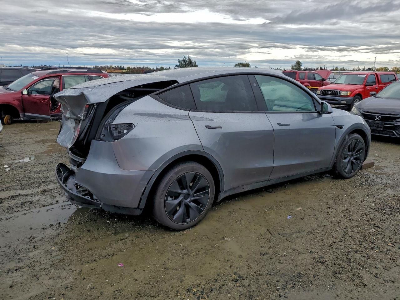 2025 Tesla Model y