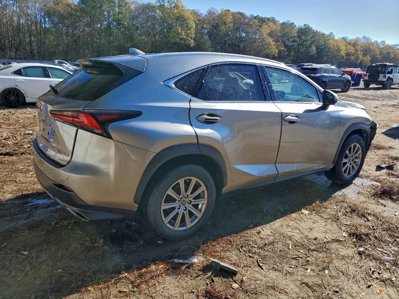 2020 Lexus Nx 300