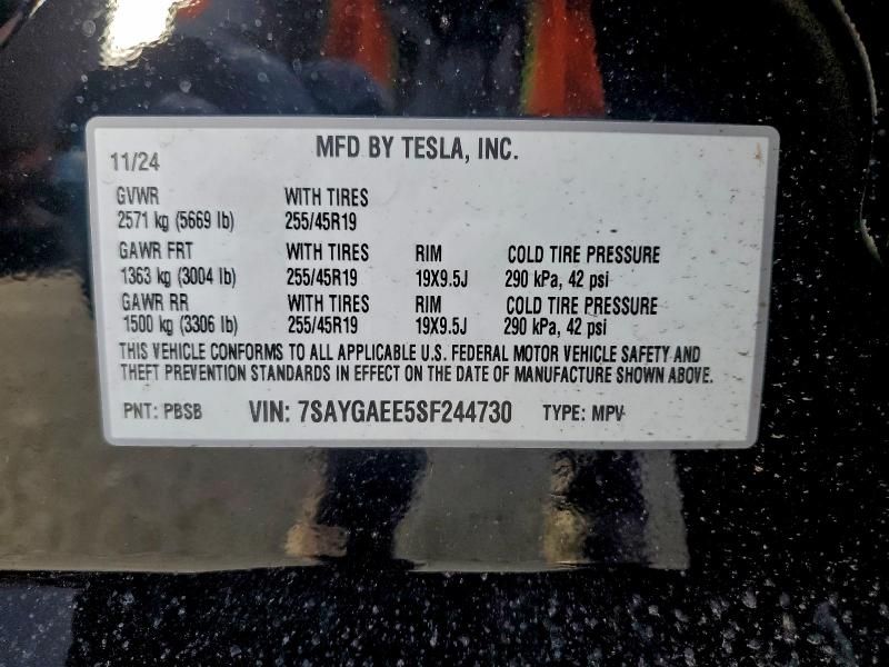 2025 Tesla Model y