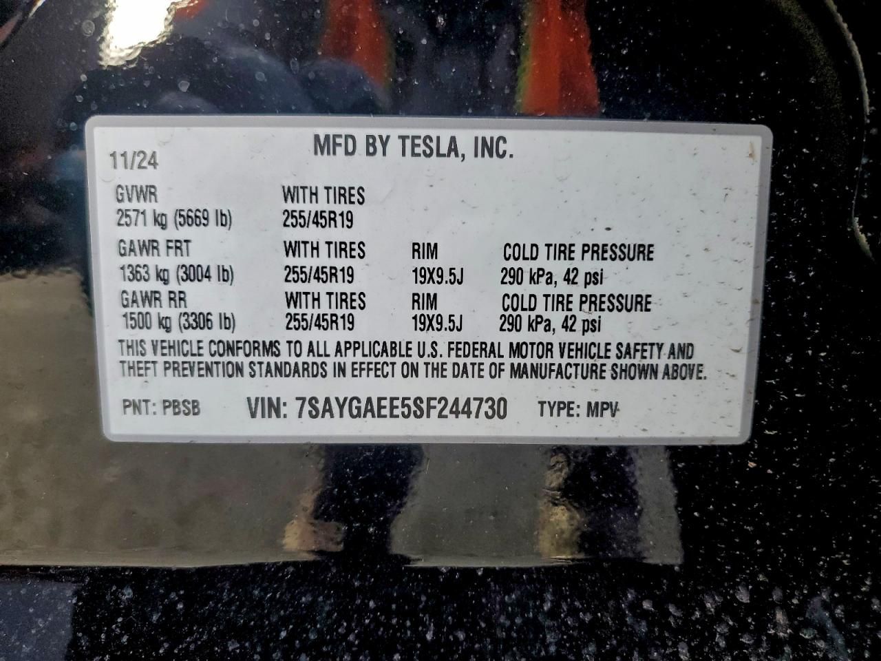 2025 Tesla Model y