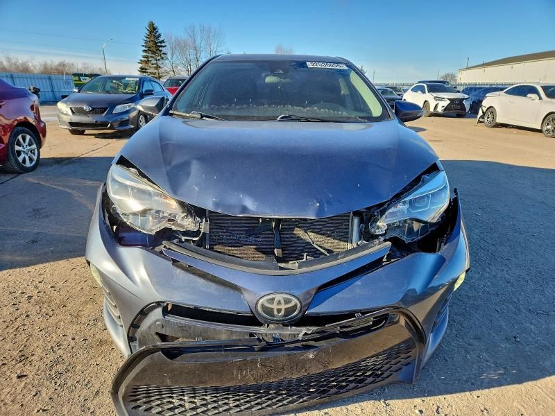 2019 Toyota Corolla l