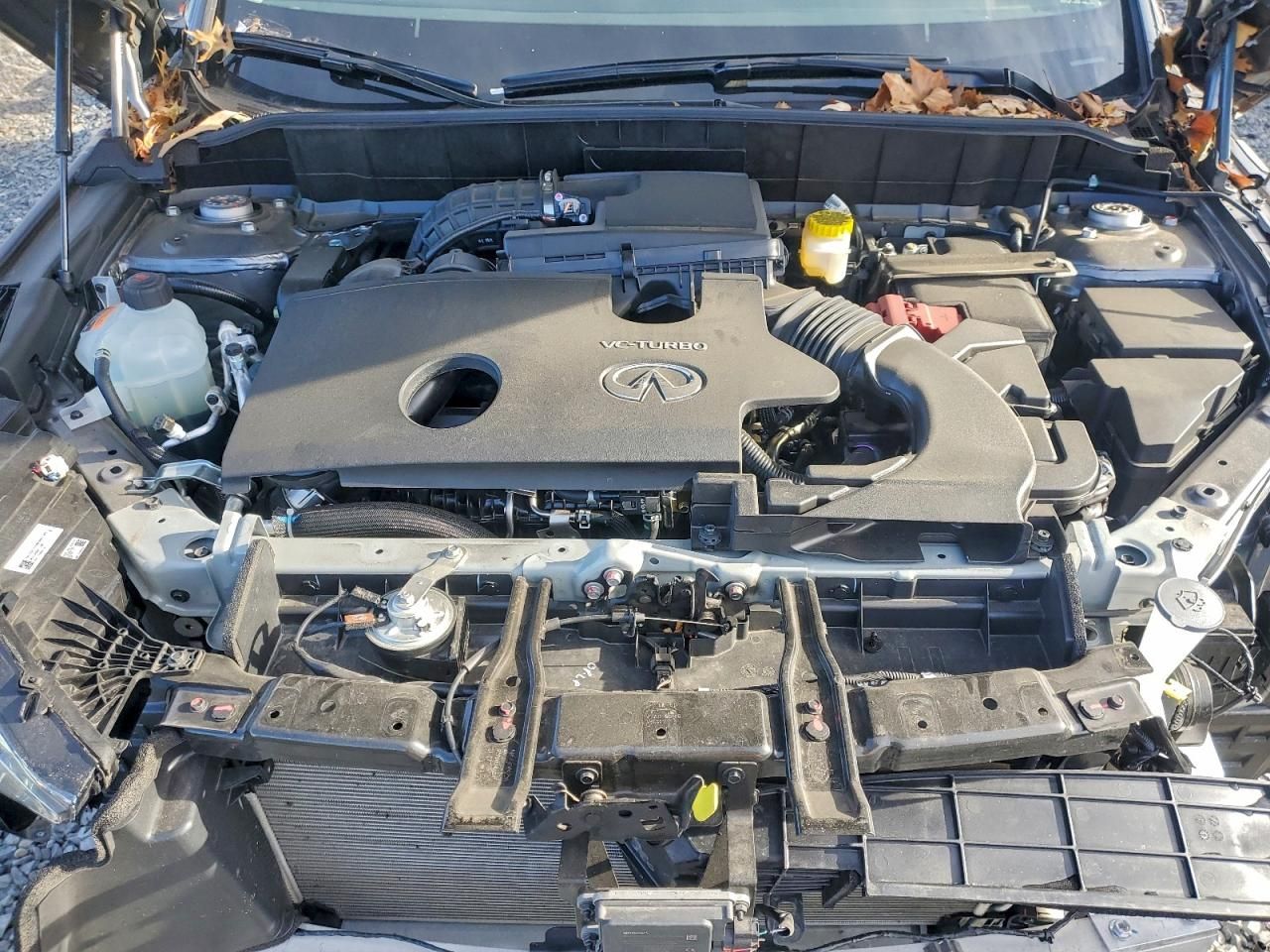 2025 Infiniti Qx50 Luxe