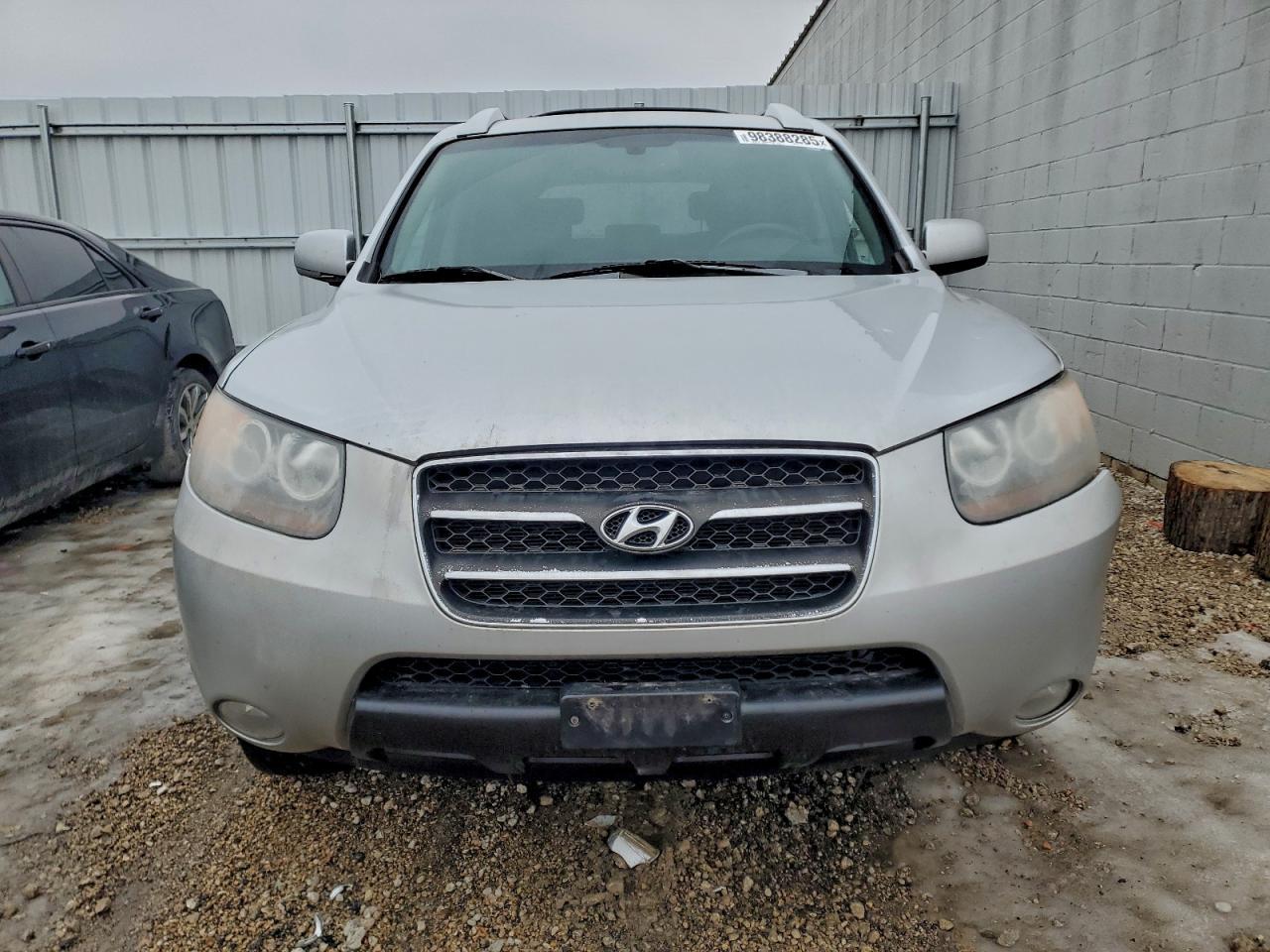 2007 Hyundai Santa fe se