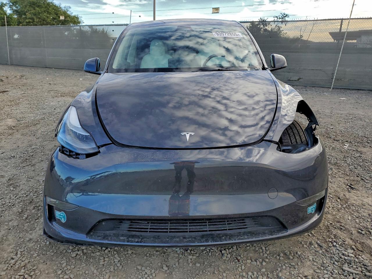 2025 Tesla Model y