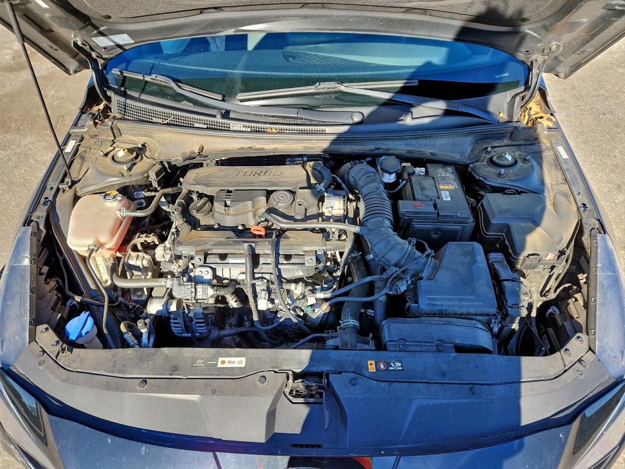 2023 Hyundai Elantra n Line