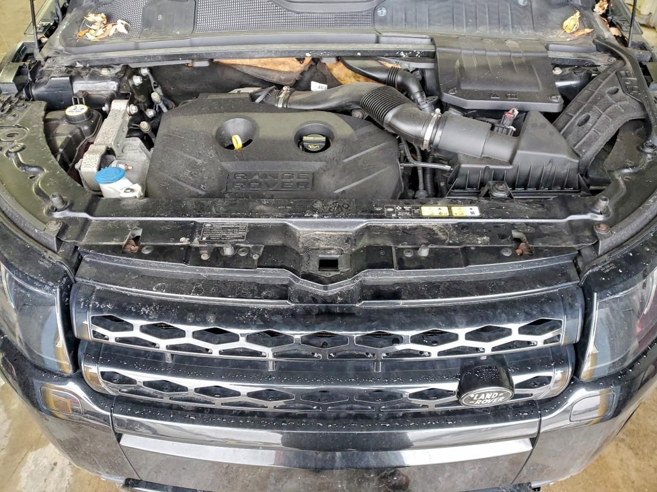 2014 Land Rover Range Rover Evoque Dynamic Premium