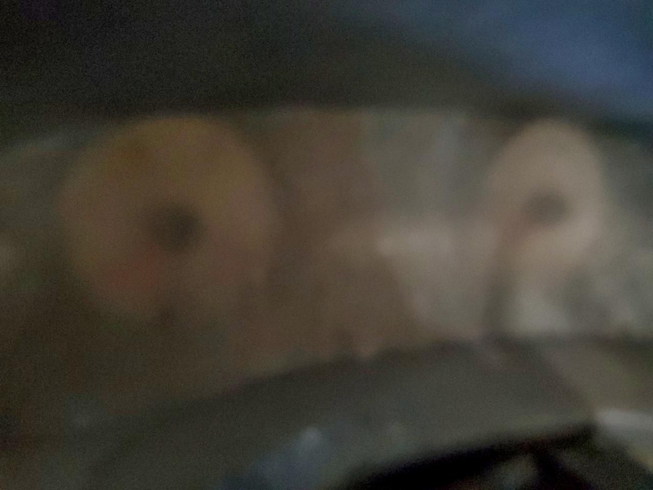 2005 Ford F250 Super Duty