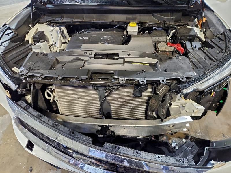 2024 Infiniti Qx60 Pure