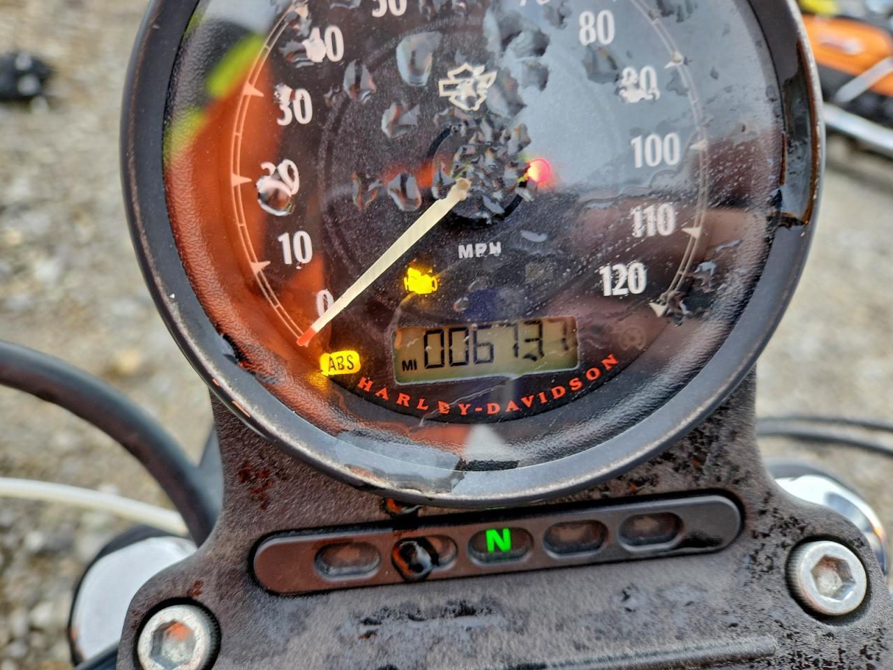 2020 Harley-Davidson XL883 N