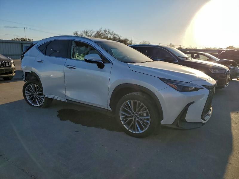 2025 Lexus Nx 250 Premium
