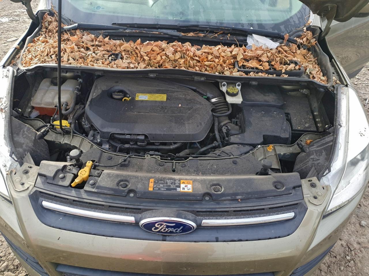 2013 Ford Escape
