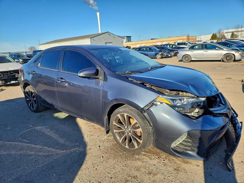 2019 Toyota Corolla l