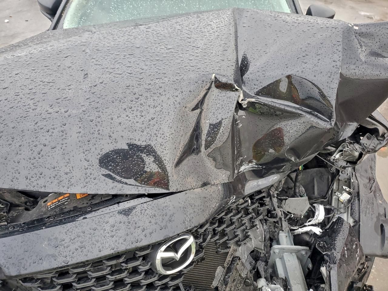 2024 Mazda Cx-50 Select