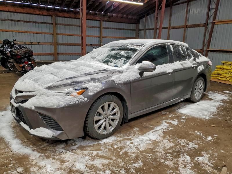 2019 Toyota Camry l