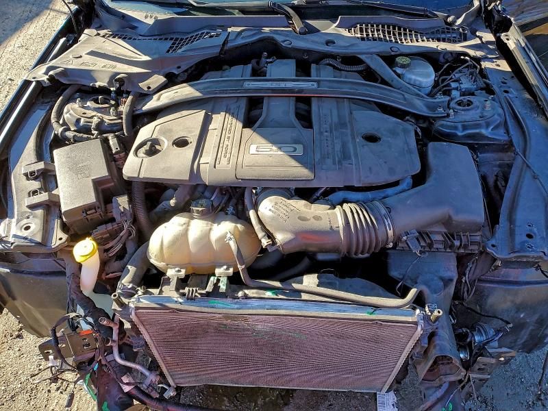 2021 Ford Mustang gt