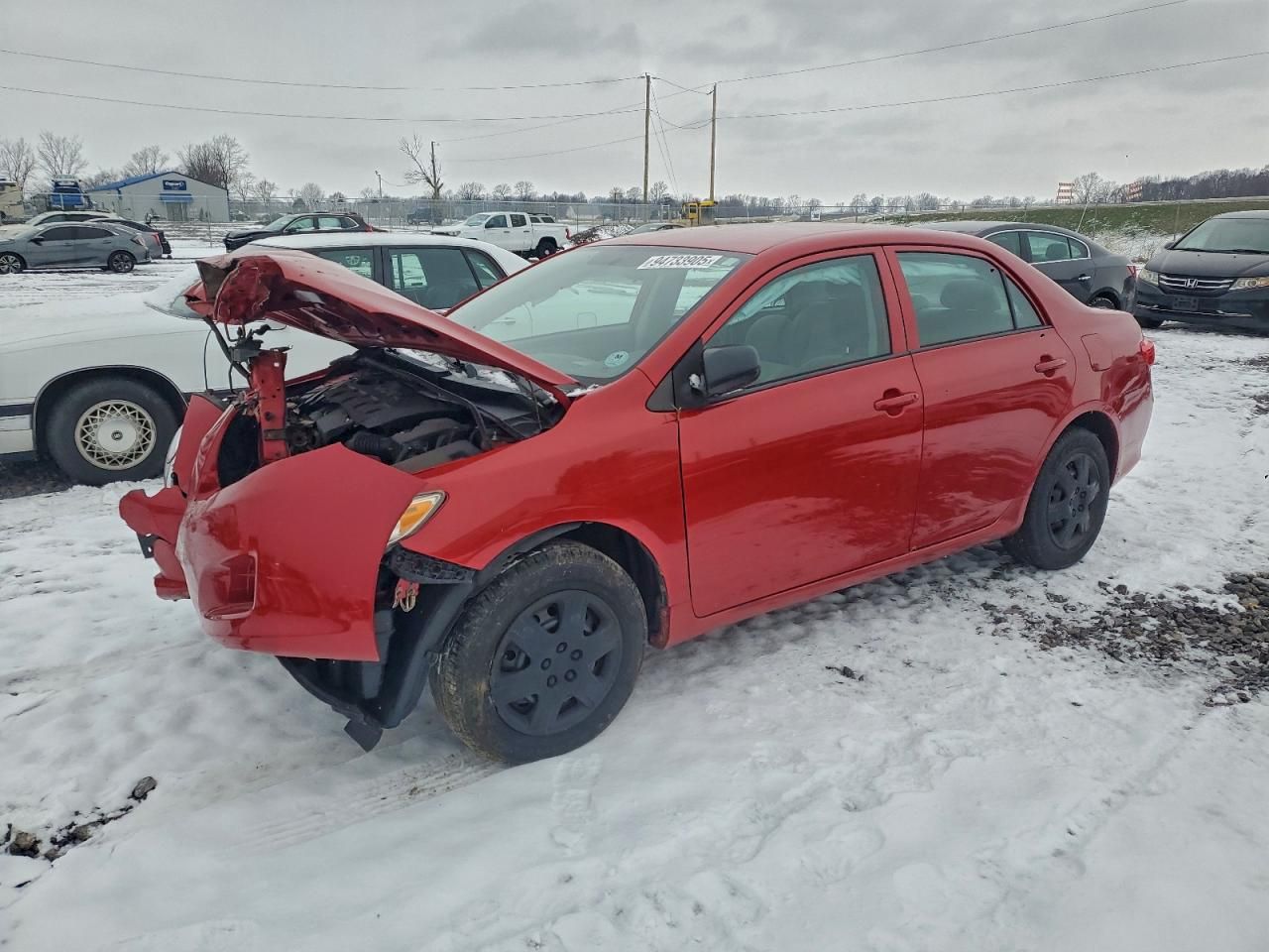 2010 Toyota Corolla Base
