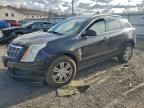 2011 Cadillac Srx Luxury Collection