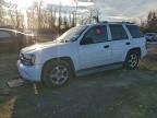 2008 Chevrolet Trailblazer ls