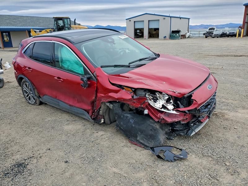 2022 Ford Escape sel