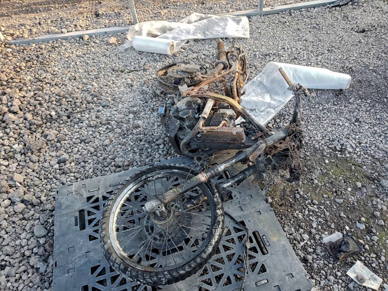 2019 Suzuki DR650 SE