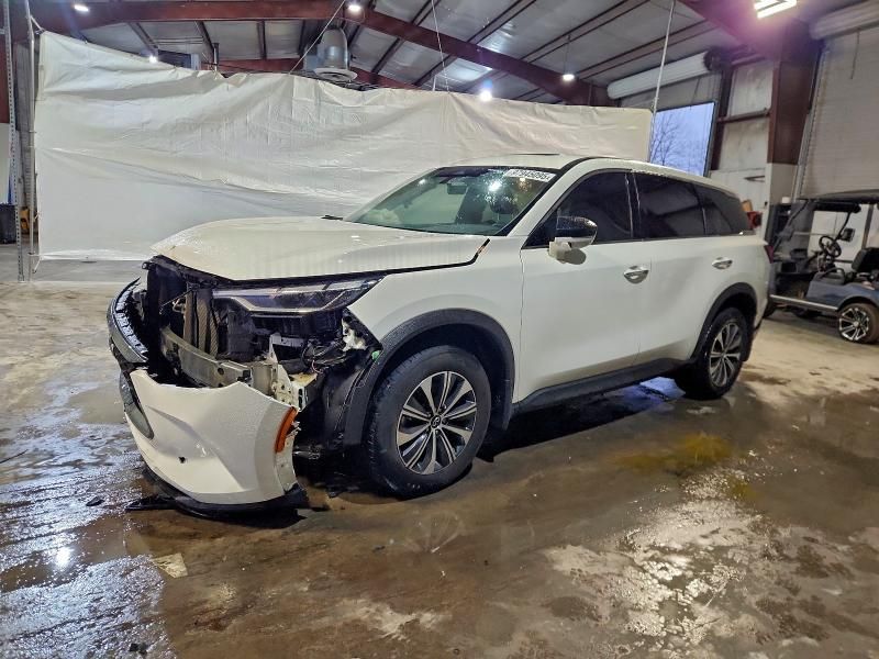 2024 Infiniti Qx60 Pure