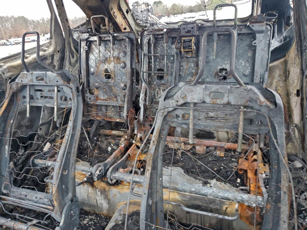 2024 Ford Escape st Line