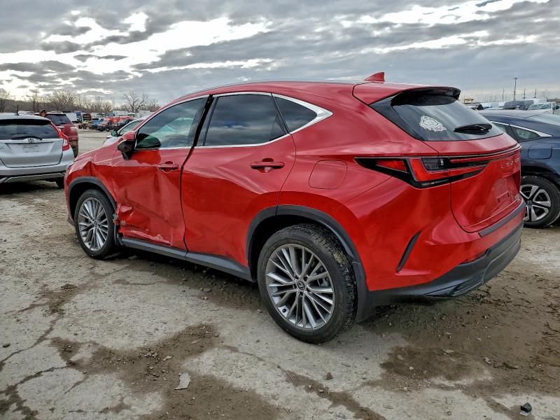 2024 Lexus Nx 350h Base