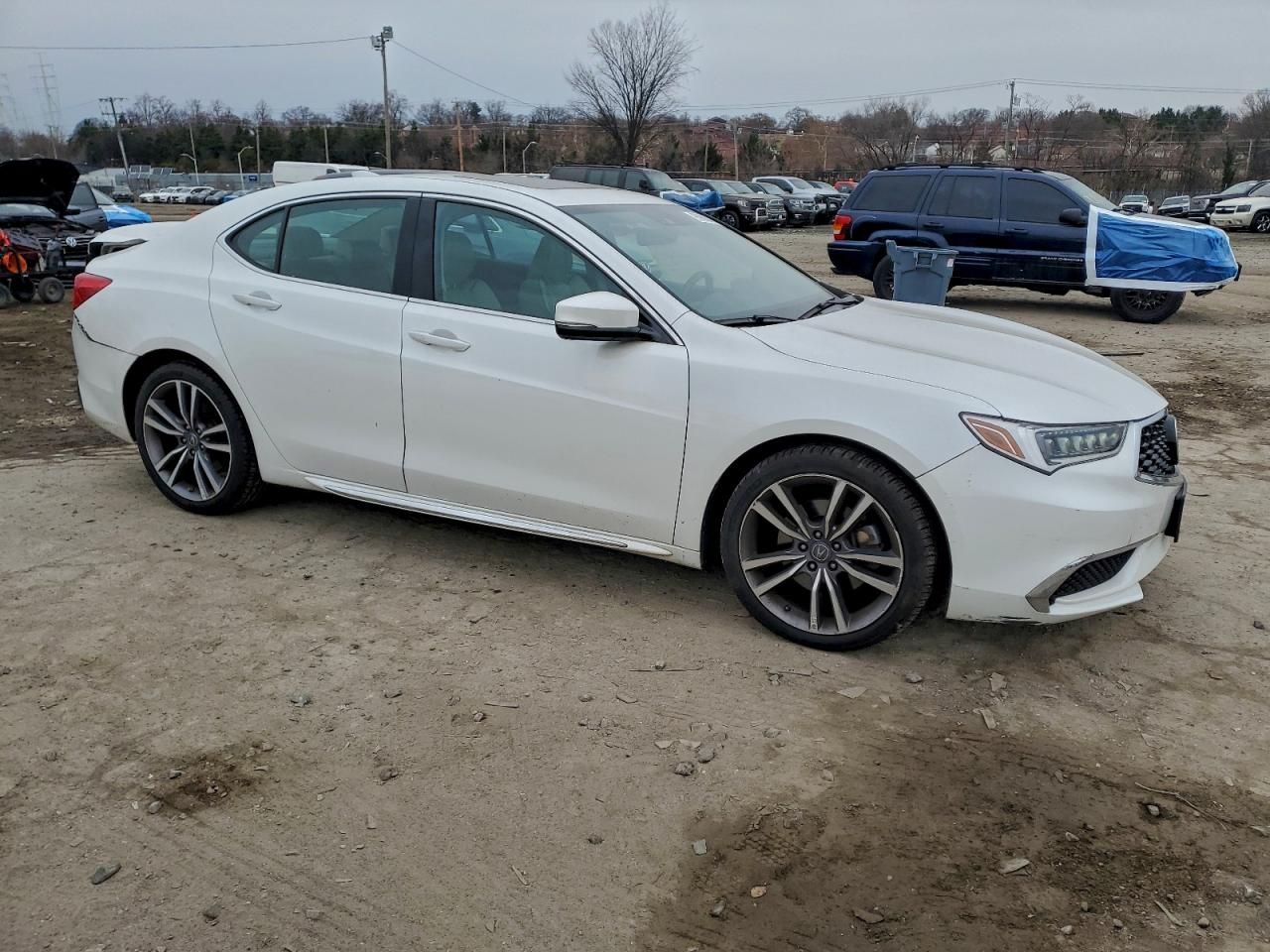 2019 Acura Tlx Technology