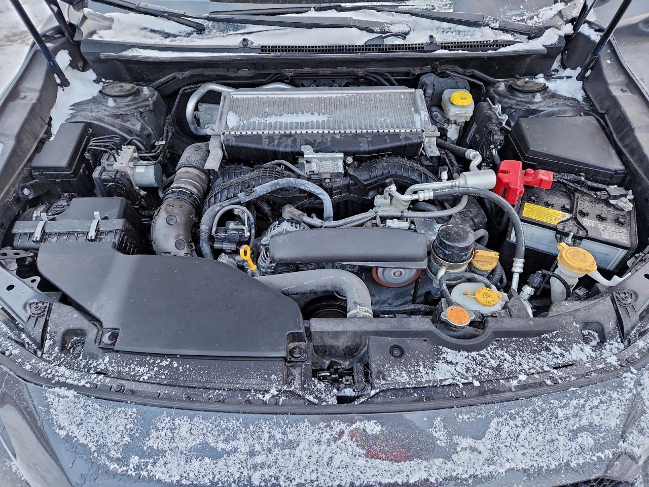 2023 Subaru Wrx Premium