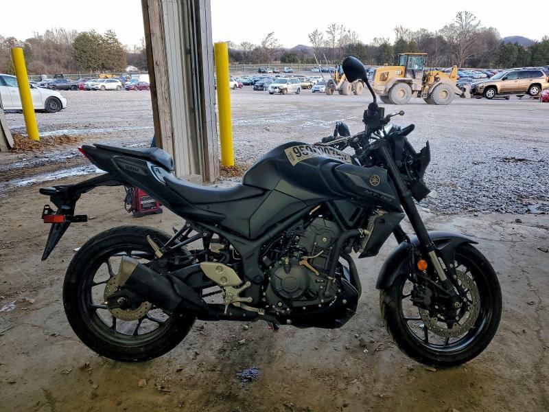 2025 Yamaha MTN320 A