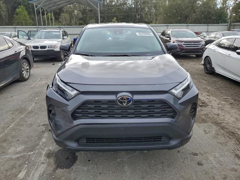 2025 Toyota Rav4 le