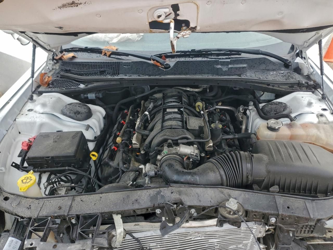 2019 Dodge Challenger R/T