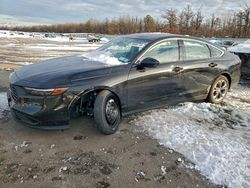 2024 Honda Accord ex for sale in Brookhaven, NY