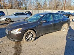 2010 Nissan Maxima s for sale in Chalfont, PA