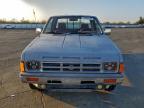 1987 Niss D21
