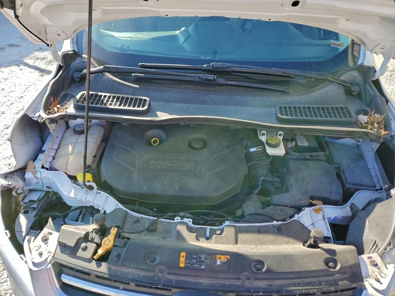 2013 Ford Escape sel