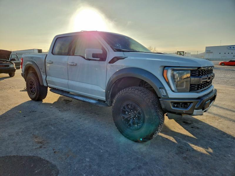 2023 Ford F150 Raptor