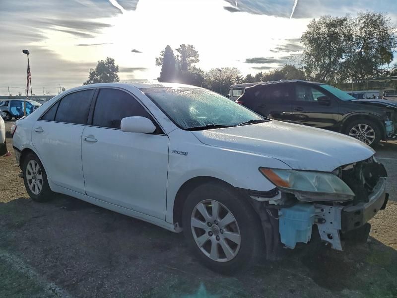 2009 Toyota Camry Hybrid
