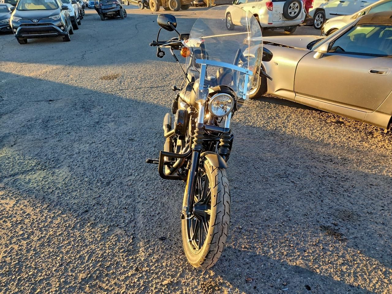 2022 Harley-Davidson XL883 N