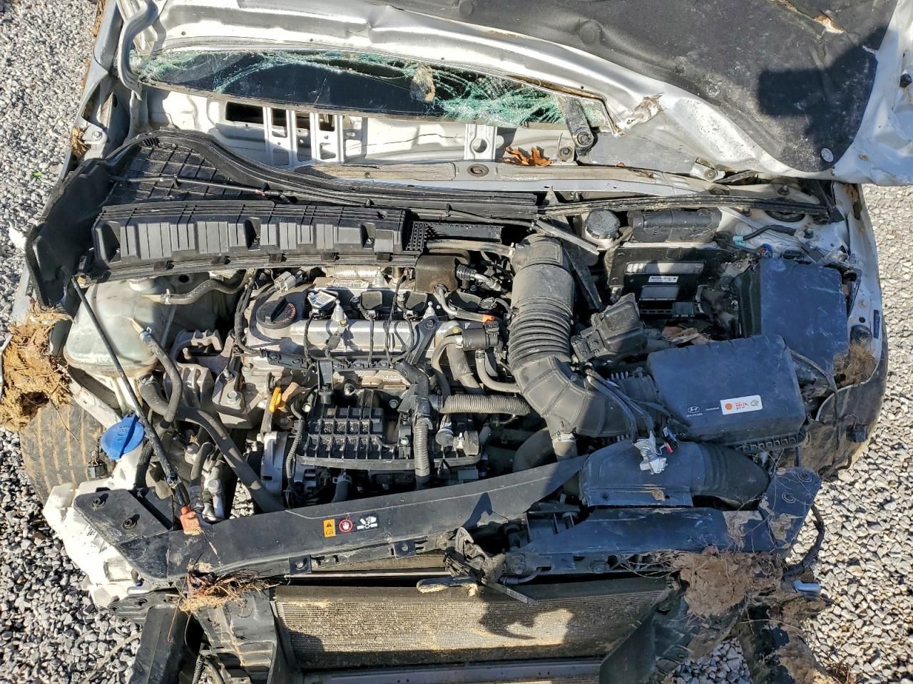 2020 Hyundai Elantra eco