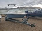 1996 Dynasty Boats Boat