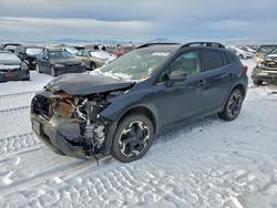 Salvage cars for sale from Copart Helena, MT: 2023 Subaru Crosstrek Limited