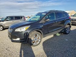2013 Ford Escape sel for sale in Brighton, CO