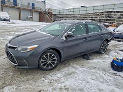 2016 Toyota Avalon xle for sale in Walton, KY