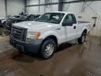 2010 Ford F150