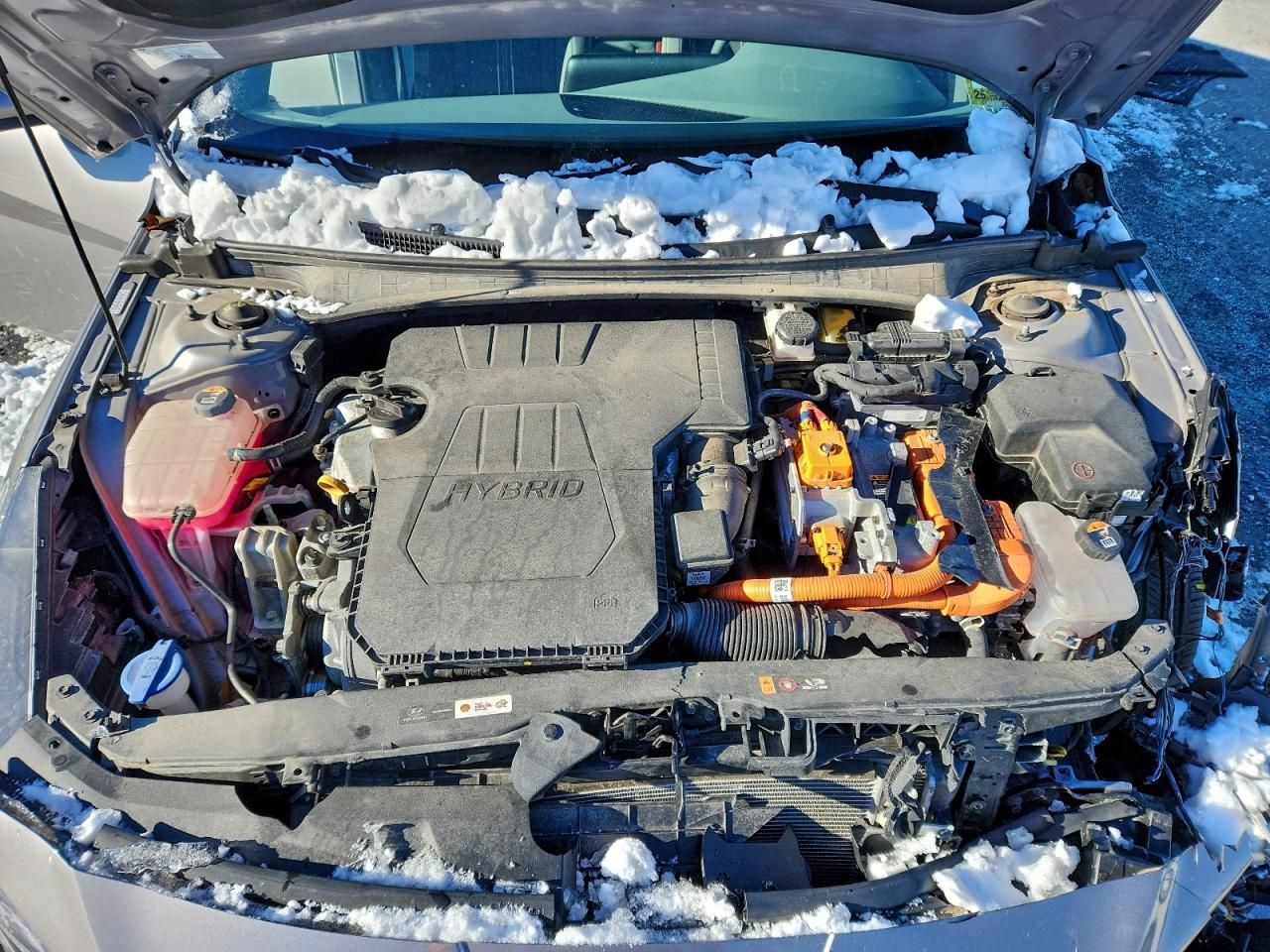 2023 Hyundai Elantra Blue