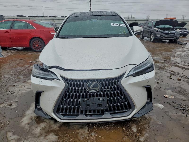 2024 Lexus Nx 350 Luxury