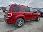 2010 Ford Escape Limited